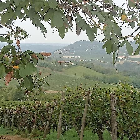 Agriturismo Bric Di Gai Monforte dʼAlba Екстериор снимка