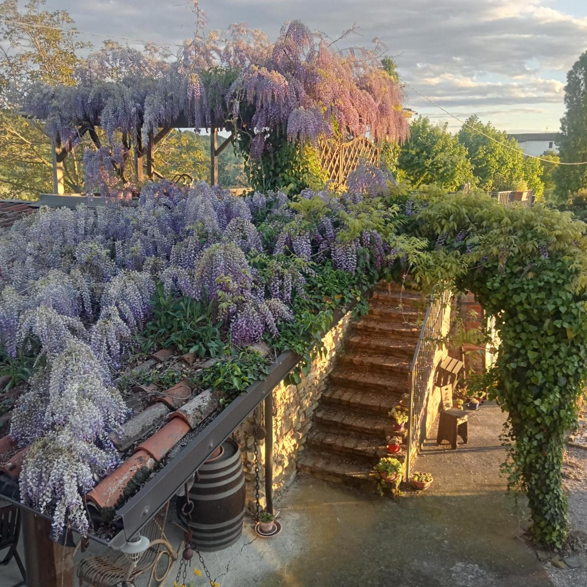 Agriturismo Bric Di Gai Monforte dʼAlba Екстериор снимка